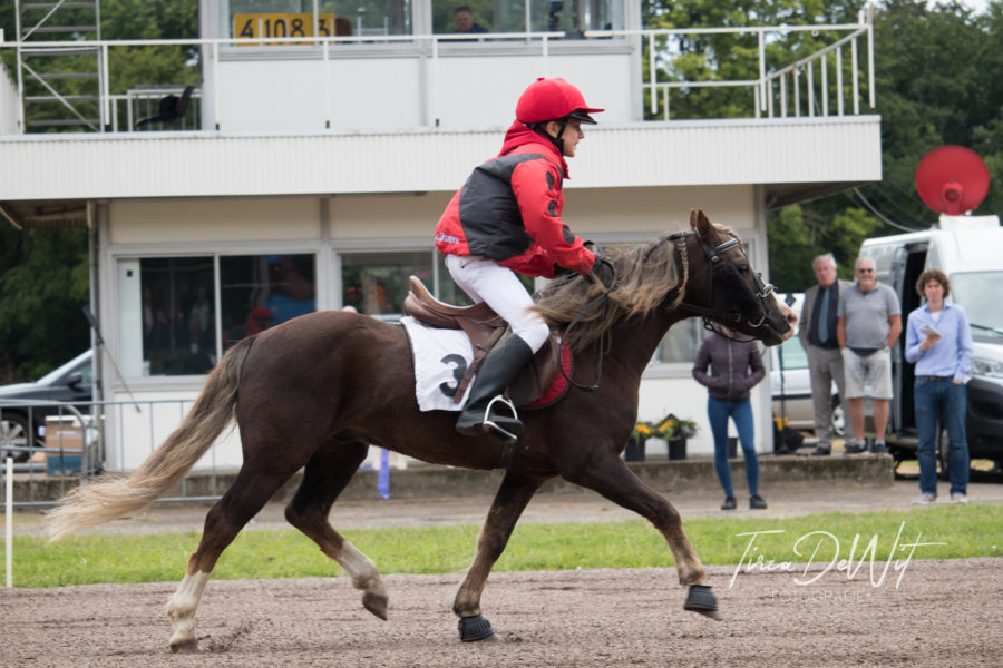 Winnaar Joris Leusink en zijn pony Pumphill Rumbly, monté mini-draverij op 07-07-2019